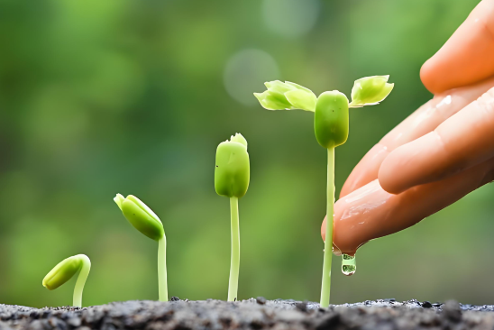 朱明伟    做生长型父母（九）： 让对话成为滋养生命的河流