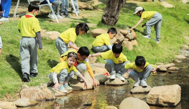 春天很短 青春不长｜让我们在春光里带孩子去感受青春的成长