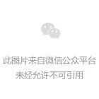 民国时期重庆市知名中学及各自的办学特色